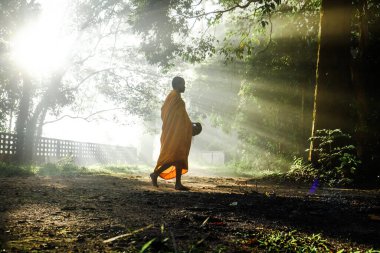 Keşiş ormanın içinde gün doğumunda yürüyor. Dini kavramları toplamak için.