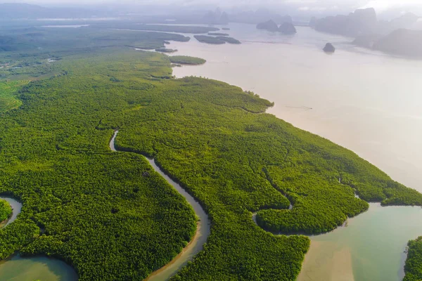 Tropické Mangrovníkové Zelené Lesy Výhledem Moře Záliv Východ Slunce — Stock fotografie