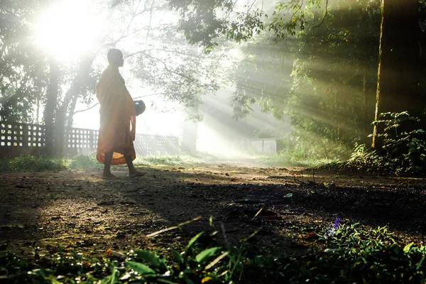 Monk walking in forest morning sunrise to collect alm religiously concept