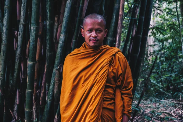 Mönch Wandert Meditation Grünen Tiefen Wald Buddhistischer Mönch — Stockfoto