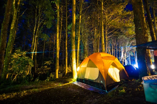Кемпинг Палатка Сосновом Лесу Ночное Время Активного Отдыха — стоковое фото