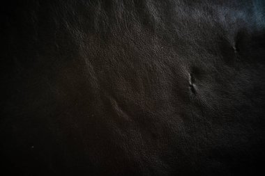 Hakiki siyah sebze bronzlaşmış deri kaplama arka plan, sığır derisi.