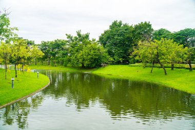 Şehir parkı, nehir ve yeşil ağaç arka planıyla güneşli bir gün.