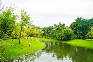 Şehir parkı, nehir ve yeşil ağaç arka planıyla güneşli bir gün.