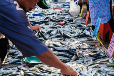 Taze ton balığı geçmişi deniz ürünleri pazarında, balık endüstrisinde satılıyor.