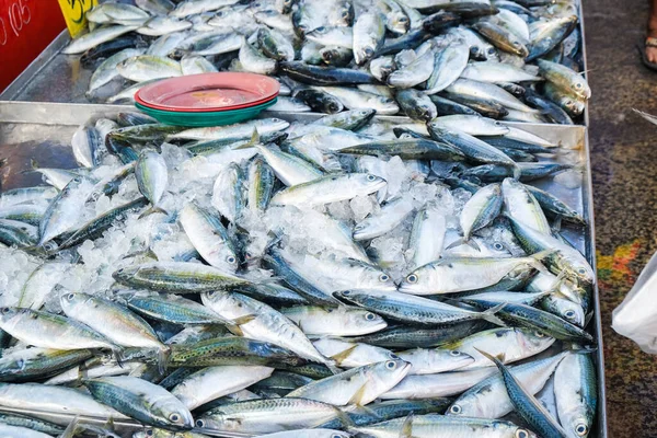 Frischer Thunfisch Fisch Hintergrund Verkaufen Meeresfrüchte Markt Fischindustrie — Stockfoto