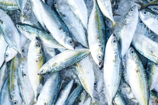 Fresh tuna fish background sell in seafood market, Fish industry