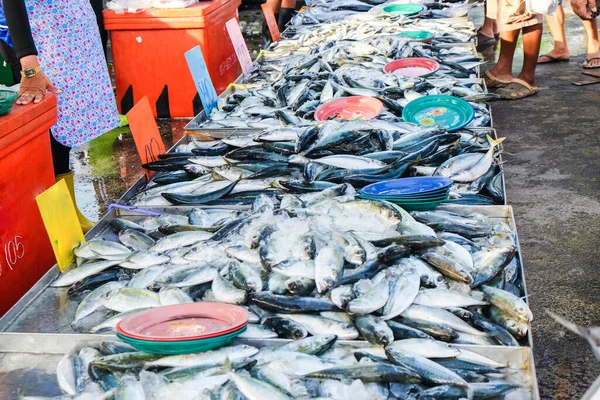 Φρέσκος Τόνος Ψάρια Φόντο Πωλούν Στην Αγορά Θαλασσινών Ψάρια Βιομηχανία — Φωτογραφία Αρχείου