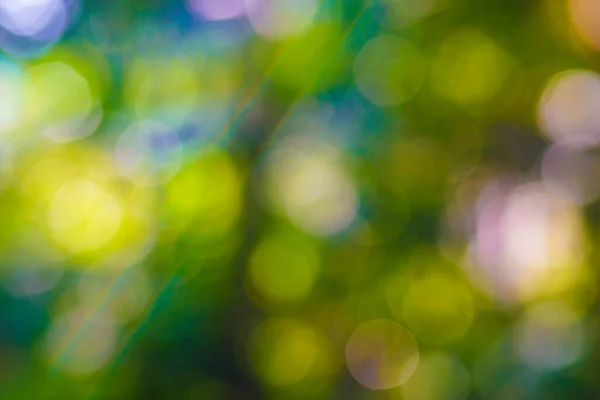 Verschwommenes Bokeh Grün Baum Blatt Wald Sonne Licht Strahl Morgen — Stockfoto