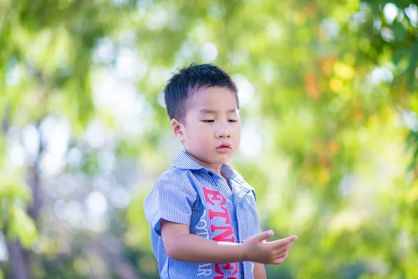 Happy Asian Boy Recreation Sunny Park Blurred Green Tree Leaf — Stock Photo, Image