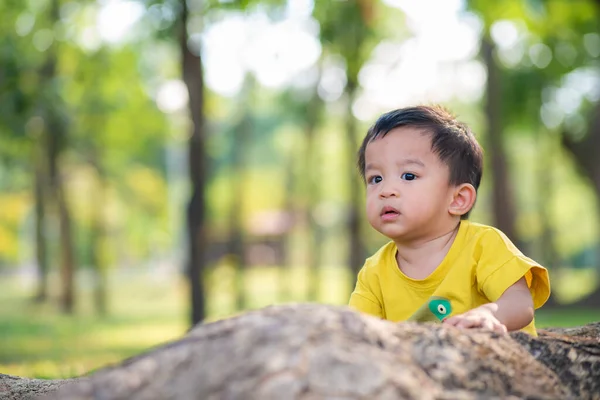 Şehir Parkında Ujnder Ağacı Oynayan Sevimli Erkek Bebek Gün Batımı — Stok fotoğraf