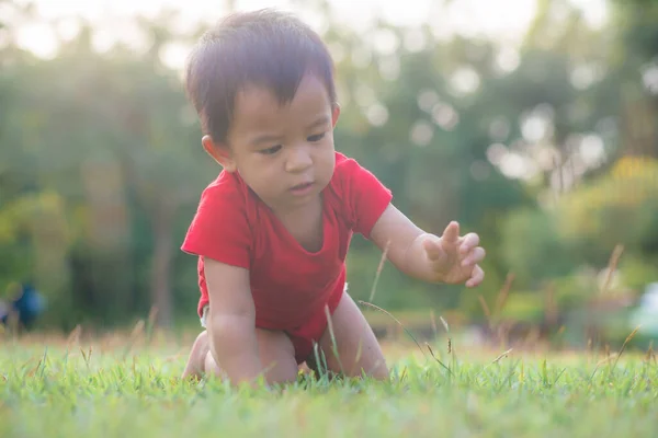 Asiático Bebé Niño Arrastrándose Verde Hierba Ciudad Parque Puesta Del — Foto de Stock
