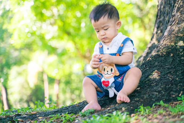 Spädbarn Asiatisk Pojke Sitter Stadsparken Solig Dag Träd Barn Utveckling — Stockfoto