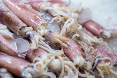 Dondurulmuş taze mürekkep balığı markette, deniz ürünlerinde buzda satılıyor.