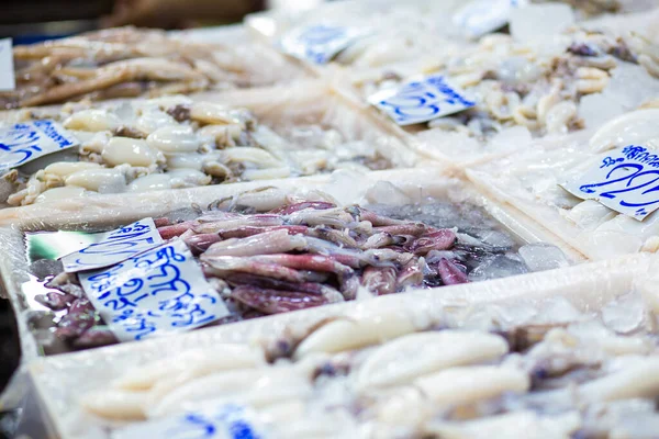 Замороженные Свежие Кальмары Близко Льду Продавать Рынке Морепродукты — стоковое фото