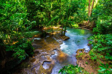Tropikal yağmur ormanlarında şelale ve yeşil ağaç ormanı