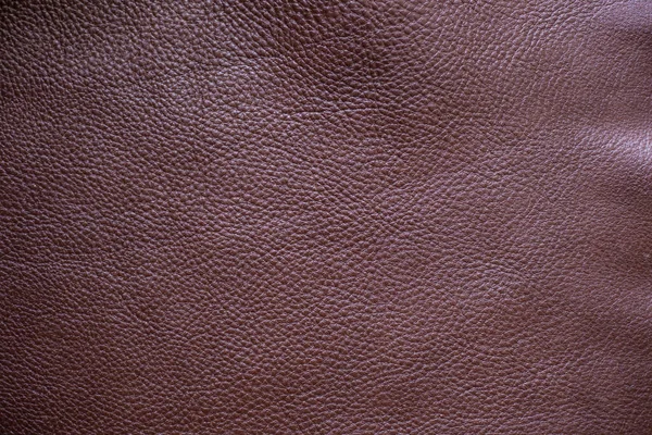 Brown Genuine Full Grain Leather Texture Raw Background — Stock Photo, Image