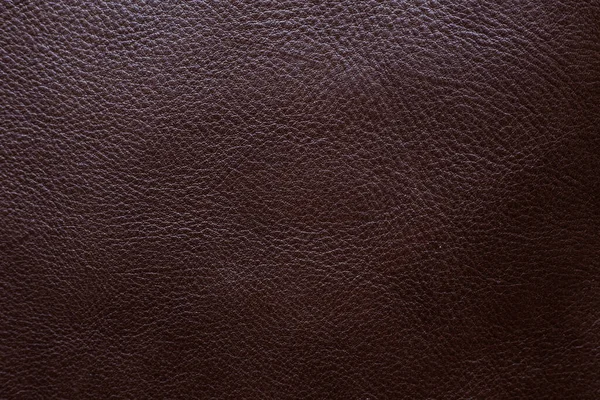 原色褐色全粒皮革背景工艺质感 — 图库照片
