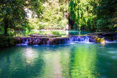 Tropikal yağmur ormanlarında şelale ve yeşil ağaç ormanı