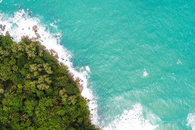 Yeşil ağaç antenli güzel deniz sahilinde el salla.