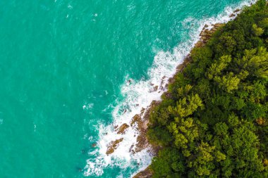 Yeşil ağaç antenli güzel deniz sahilinde el salla.