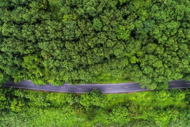Kırsal yolun üzerinde, derin yağmur ormanlarında, drone 'la yeşil ağaçla.