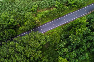 Kırsal yolun üzerinde, derin yağmur ormanlarında, drone 'la yeşil ağaçla.