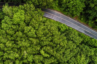 Kırsal yolun üzerinde, derin yağmur ormanlarında, drone 'la yeşil ağaçla.