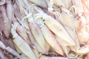 Taze mürekkep balığı, geleneksel deniz ürünleri pazarında, yiyecek nesnesinde arka plan satar.