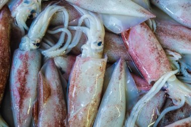 Taze mürekkep balığı, geleneksel deniz ürünleri pazarında, yiyecek nesnesinde arka plan satar.