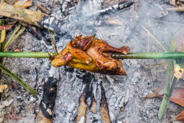 Orman kampında ızgara tavuk, macera konsepti.