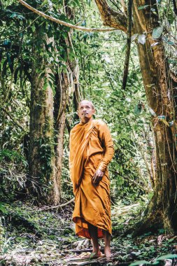 Buddist keşiş derin orman dini kavramında meditasyon yaptı.