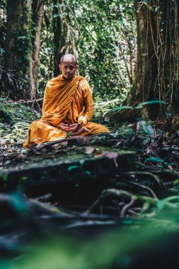 Buddist keşiş derin orman dini kavramında meditasyon yaptı.