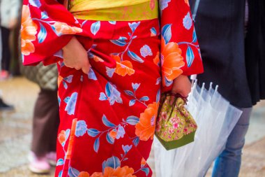 Kyoto Japonya 'daki Inari türbesinde geleneksel kimono giysili genç Japon kız.