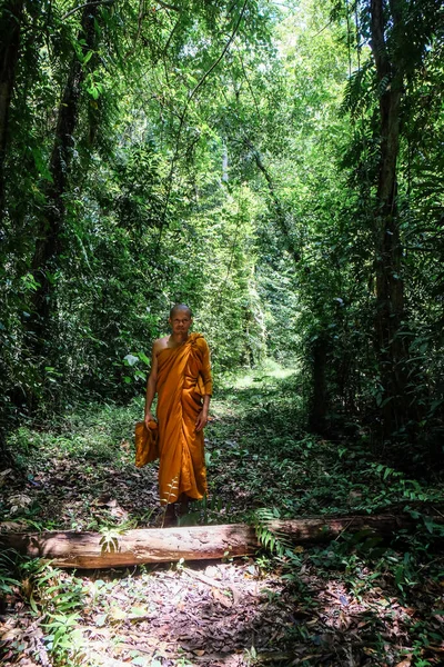 Buddist monk made meditation in deep forest religion concept