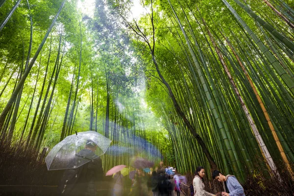 Arashiyama Ville Forêt Bambous Voyage Avec Sentier Kyoto Japon — Photo