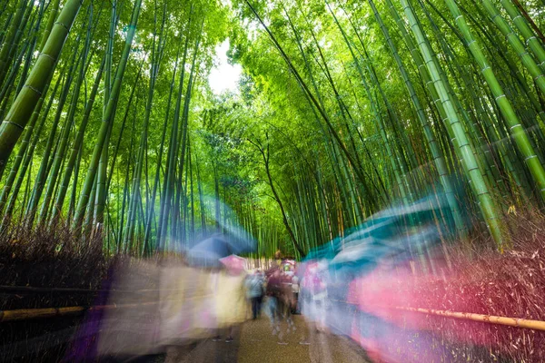 Arashiyama Miasto Bambusowych Lasów Podróży Ścieżką Kioto Japonia — Zdjęcie stockowe