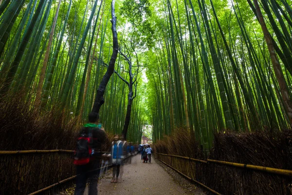 Arashiyama Ville Forêt Bambous Voyage Avec Sentier Kyoto Japon — Photo