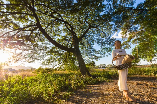 Mooie Mode Vrouwen Boom Bos Zonsondergang Scène Vrouwen Natuur — Stockfoto