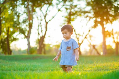 Sevimli mutlu çocuk yeşil çimlerde oynuyor günbatımında ışıklı şehir parkında, parkta küçük çocuk