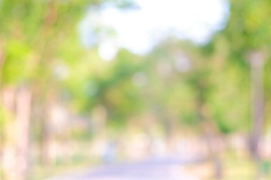 Soyut yeşil bulanık şehir parkı gündüz aydınlık doğa arka planı