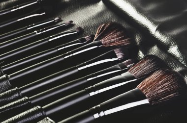 çapraz yerleştirilmiş bir siyah kapak makyaj için fırçalar kümesi 