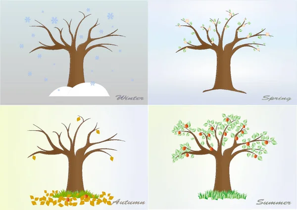 Quatro estações árvore inverno, primavera, verão, outono, vetor, horizontal — Vetor de Stock