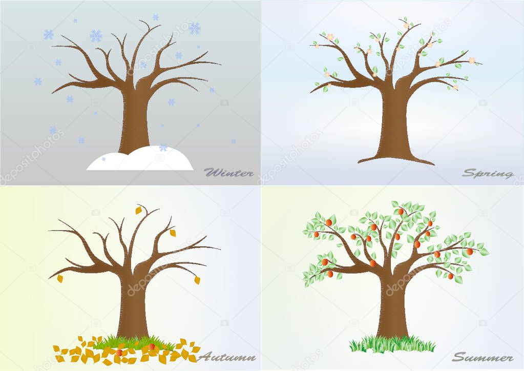 four seasons tree winter, spring, summer, autumn, vector, horizontal