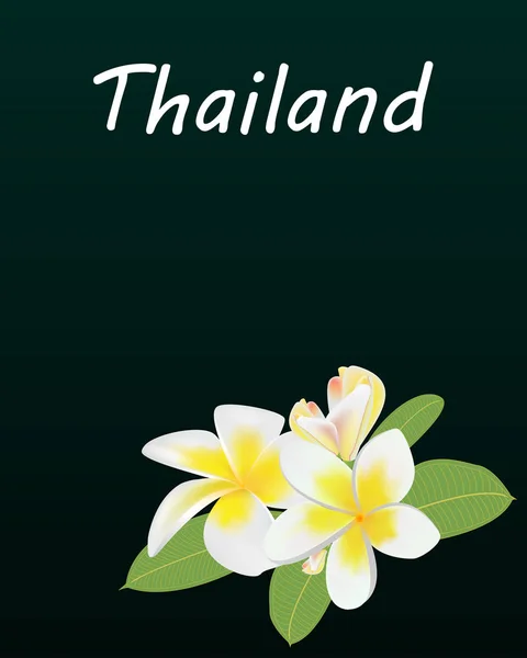 39 Carte de voeux vert foncé avec l'inscription Thaïlande et une brindille de plumeria dans le coin inférieur, verticale — Image vectorielle