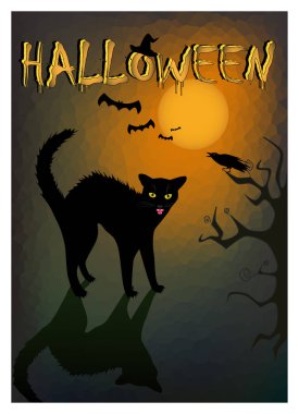 Cadılar Bayramı kızgın siyah kedi ve karanlık gece arka plan üzerinde dikey