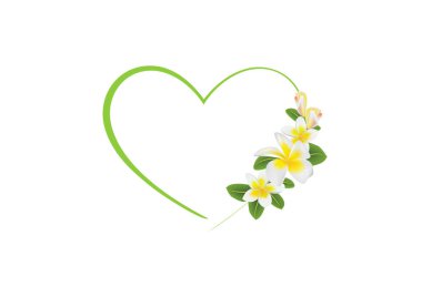 green heart with plumeria flowers and leaves isolated on a white background horizontal vector illustration