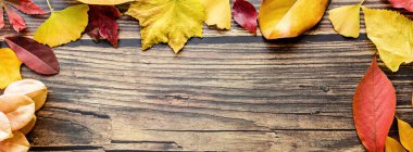 Kahverengi ahşap arka planda sarı ve kırmızı yapraklı web pankartı. Mevsimlik kompozisyon, sonbahar, şükran günü, bitki konsepti. Model, şablon, genel giderler