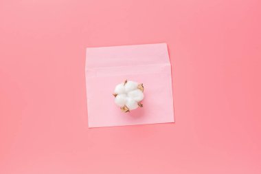 Pembe zarf ve pamuk çiçeği. Düz konum, üst görünüm, model, şablon, kopyalama alanı. 14 Şubat kutlamaları için asgari soyut kompozisyon