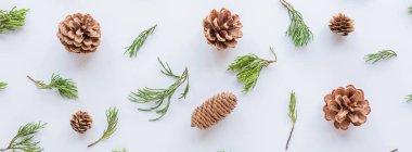 Noel kompozisyonu koniler ve beyaz üzerine köknar dalları. Yeni yıl konsepti. Tebrik kartı, kış tatili, kostüm kutlaması 2020. Düz konum, üst görünüm, kopyalama alanı, model, şablon